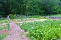 Vegetable Garden at Booker T. Washington National Monument